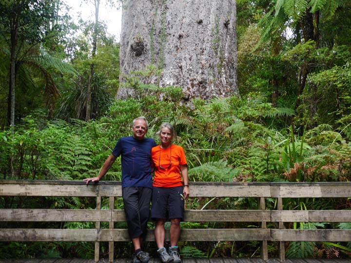 Tane Mahuta, Kaurifichte - New Zealand